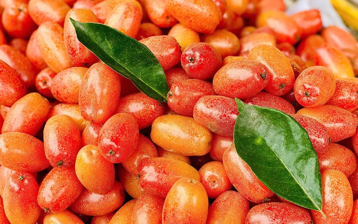 Giá Nhót Chín Giảm Mạnh, Thị Trường Ngập Tràn Với Giá Chỉ Vài Chục Nghìn Đồng/Kg