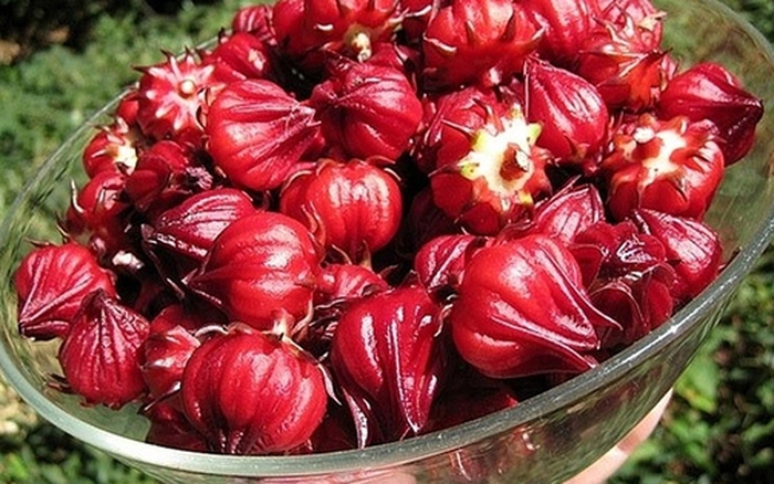 Công thức Canh Atiso đỏ hầm sườn non: Bổ dưỡng và mát gan