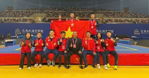 Wushu Việt Nam Xuất Sắc Giành 4 Huy Chương Vàng Tại Cúp Tán Thủ Thế Giới 2025