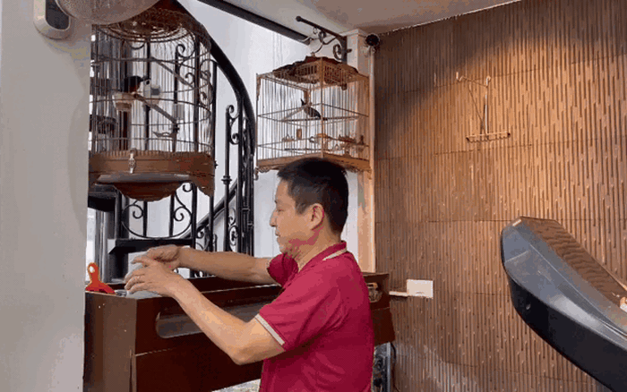 NSƯT Chí Trung: Thú chơi chim, cá cảnh - Đam mê bình dị nhưng giá cả gây sốc
