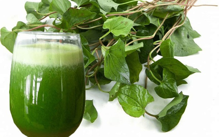 Khám Phá 8 Loại Nước Uống Thanh Nhiệt Giúp Mát Gan Hiệu Quả