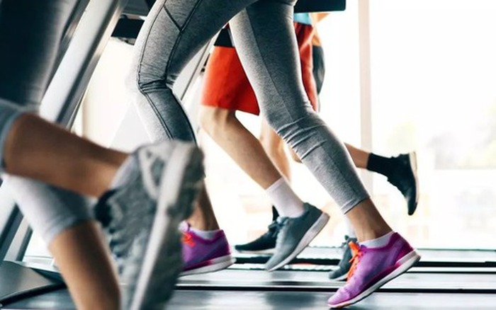 Bí quyết sống khỏe và trường thọ qua 7 nguyên tắc đơn giản