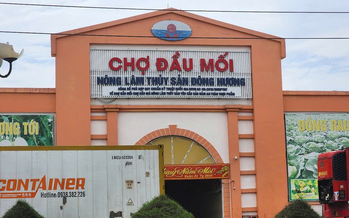 Công ty Bình Minh bị phạt hơn 200 triệu đồng vì gây ô nhiễm môi trường nghiêm trọng