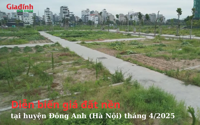 Giá đất nền tại Đông Anh vẫn cao, vượt ngưỡng 60 triệu đồng/m2 vào tháng 4/2025