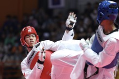Taekwondo Việt Nam: Hành trình tìm lại ánh hào quang Olympic