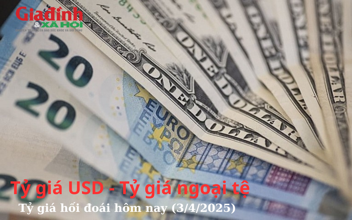 Cập Nhật Tỷ Giá Ngoại Tệ Ngày 3/4/2025: USD, EUR, JPY và Nhiều Loại Tiền Tệ Khác