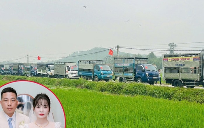 Chú Rể Nghệ An Tạo Dấu Ấn Với Đoàn 15 Xe Tải Rước Dâu Độc Đáo
