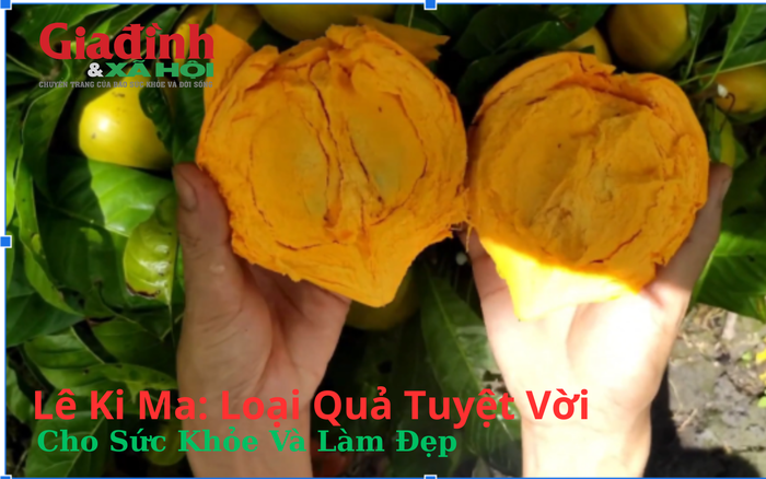 Lê ki ma trở thành 'siêu thực phẩm' được ưa chuộng trong mùa giao mùa tại Hà Nội